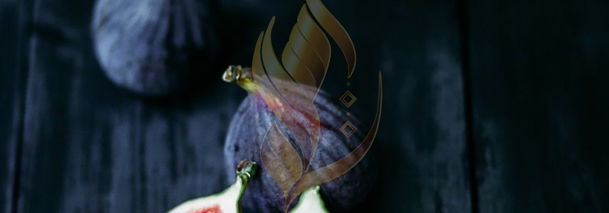 سورۃ التین کا خلاصہ